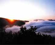 鸡东天气预报60天