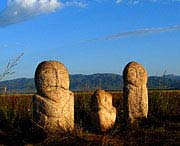 昭苏天气预报60天