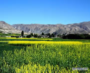 尼木天气预报7天