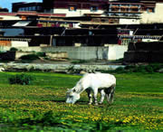 山南天气预报40天