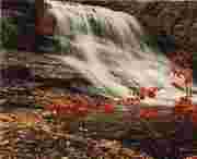 华亭天气预报7天