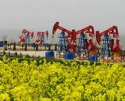 庆阳天气预报15天