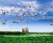 银川天气预报7天