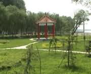 原阳天气预报40天