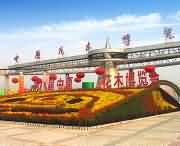 鄢陵天气预报60天