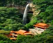 桐柏天气预报40天