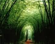 洛宁天气预报60天