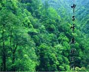 庆元天气预报60天