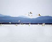 东至天气预报15天