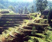 桂东天气预报40天