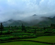 台江天气预报15天