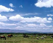 威宁天气预报60天