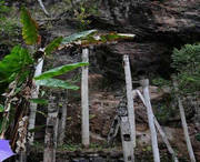 西盟天气预报7天
