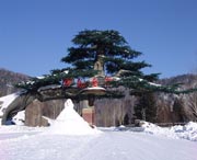 阳明后天天气