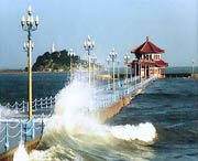 青岛后天天气