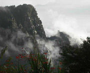临武明天天气