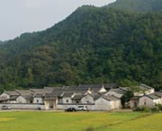 大埔后天天气